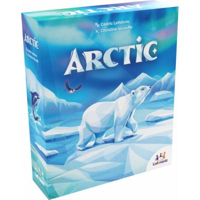 Jeu de Cartes Placement Arctic