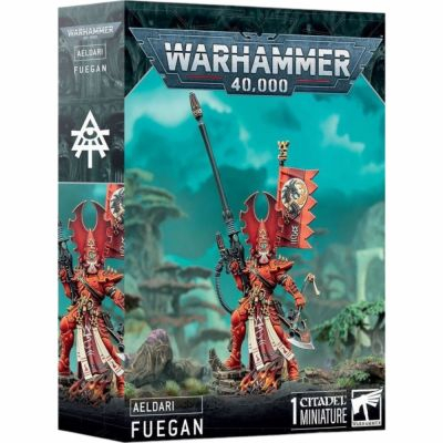 Figurine Warhammer 40.000 Warhammer 40.000 - Aeldari : Fuegan